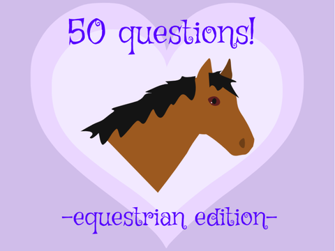 50 questions! -Equestrian edition- remix