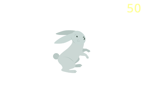 Bunny Math Game