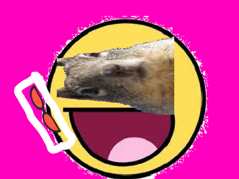 WEEEEEEEEEEEEEE( what on earth am i doing?)