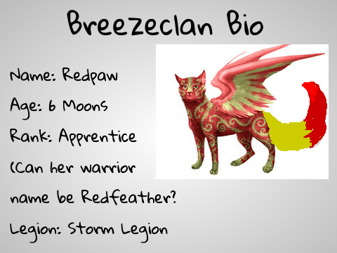 The Elemental Clans Cat Bio  remix