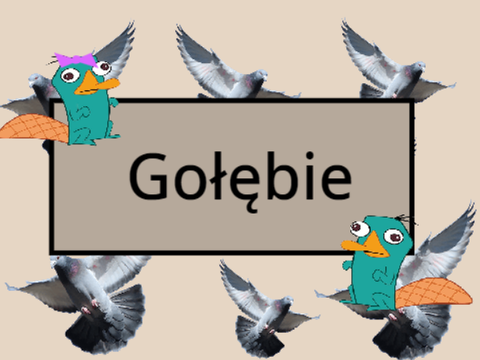 Gołębie ||animacja do piosenki ranko z okazji Dnia Gołębia||