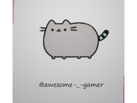 My Pusheen 4 @C0C0_puppy