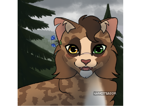 Ferretcloud