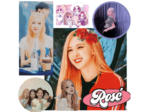 Rose Aesthetic Bp! remix
