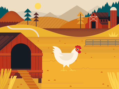 Chicken Clicker!!