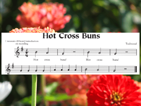 Hot Cross Buns (RECORDER PERFORMANCE)