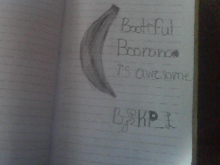 BOONANA COMP entry