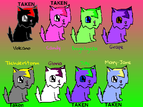 Adoptable kitties!