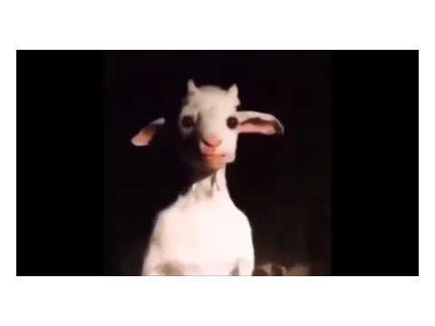 join the goat army