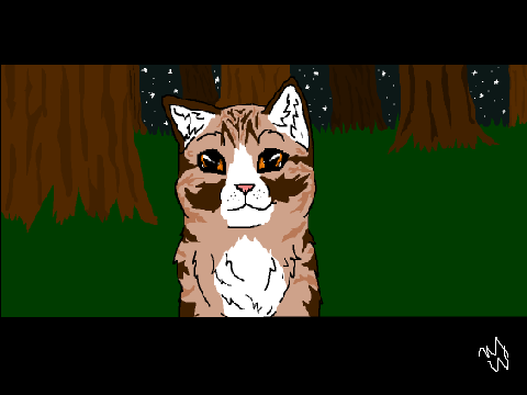 Cat Drawing