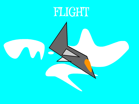Flight Animation