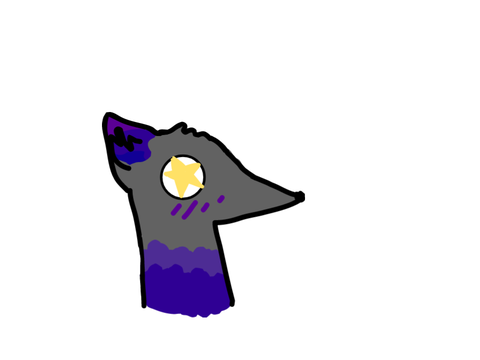 rat