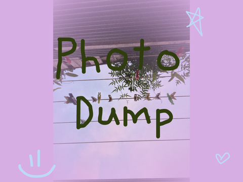 photo dump :)