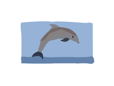 Dolphin  #art #all