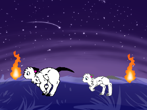 warror cats animation 