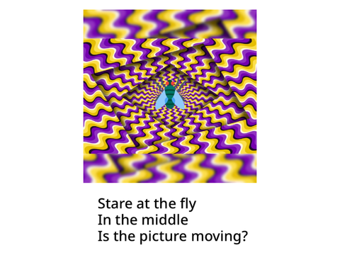 Mind blowing  illusions 