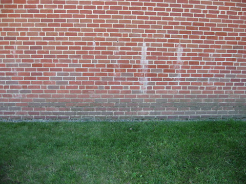 Lucky and EVIL CAT: Evil cat comes the halway: Part I