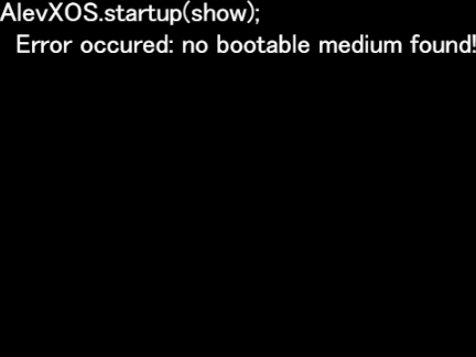 AlevX OS bootloader.cpp