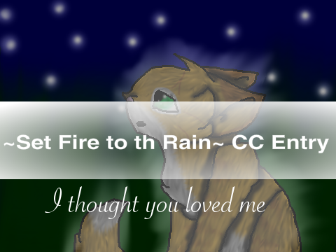 ~Set Fire to the Rain~ CC Entry
