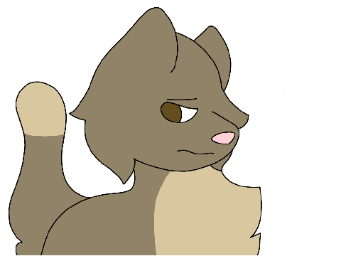 Animations