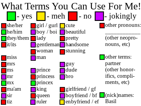 What Terms You Can Use For Me remix