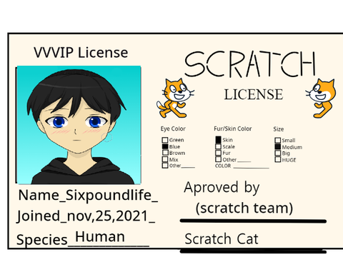 My scratch ID card ! remix
