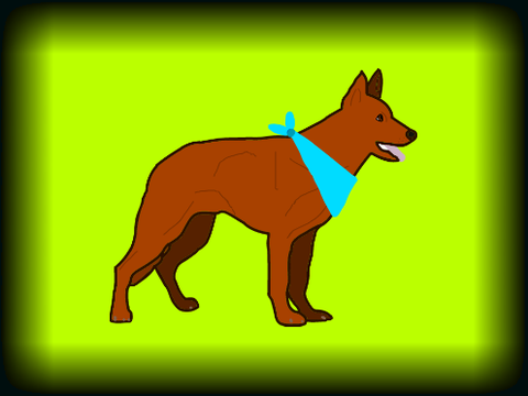 Liver German Shepherd Drawing
