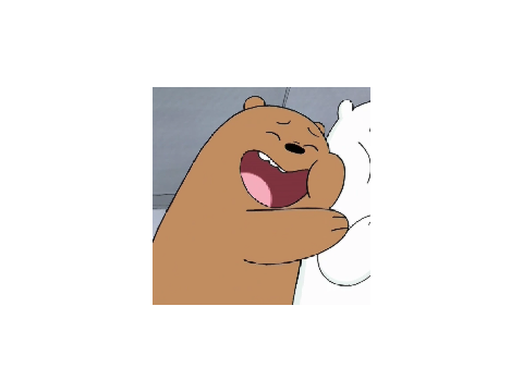 we bear bear pfps