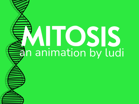 mitosis animation