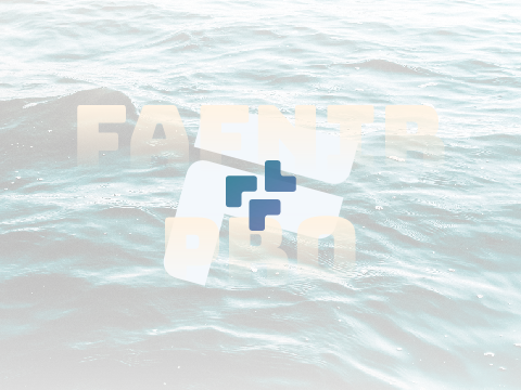 Fafnir_Pro || Branding