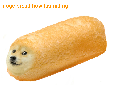 doge memes