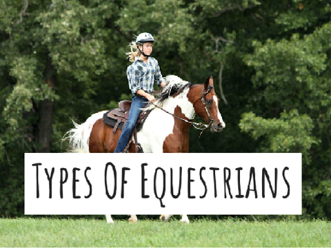Types Of Equestrians remix