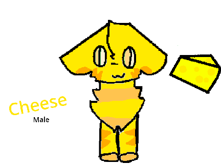 25 Followers -dtae- Cheese