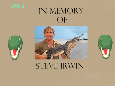 Steve Irwin Tribute