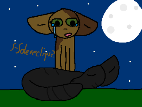 When Leafdrop found out Solereclipse died :(