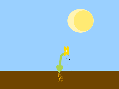Seedling: An Animation