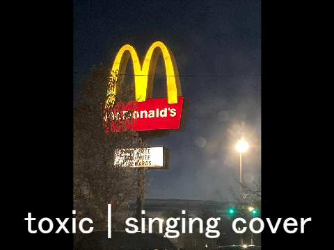 toxic boywithuke | singing cover