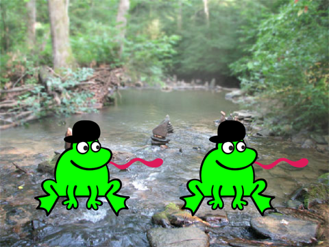Hip hop can’t stop frogs