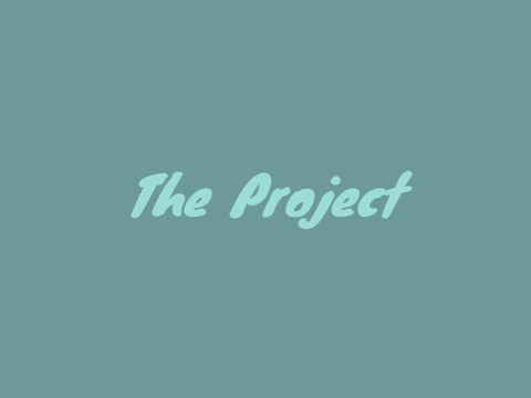 The Project