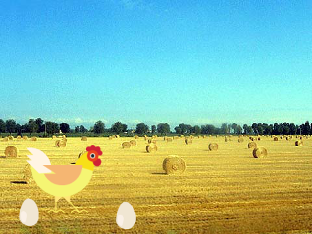 chicken jump!