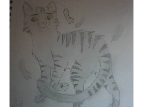 FernStar from Sparrowclan