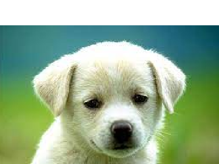 please like and follow me if cute