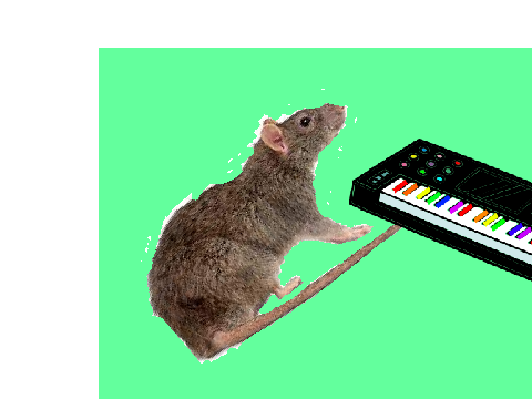 Happy Neil Banging Out The Tunes Day