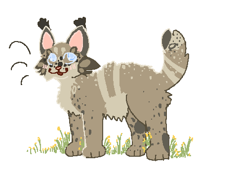 ( redone ) skippykit application <3