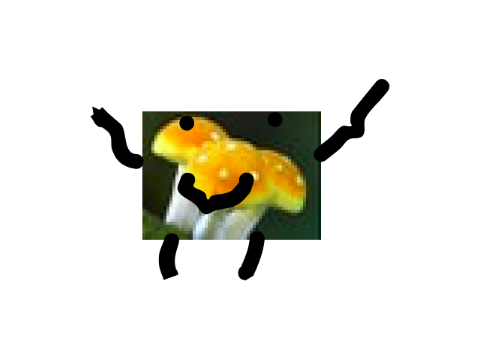 50+ follower contests