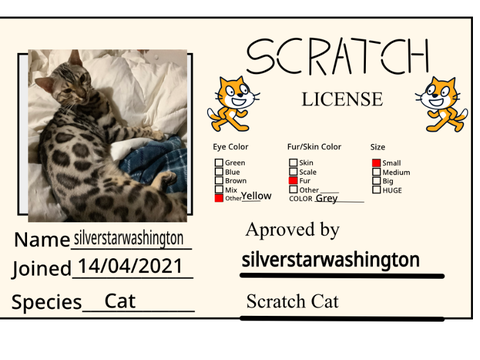 Make Your Own Scratch License remix