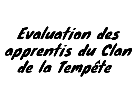 Evaluation des apprentis du Clan de La Tempête 200/20