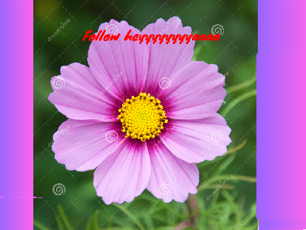For: @heyyyyyyyyaaaa :( :( :( :( :( :( :( :(