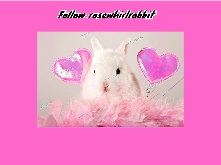 For @rosewhirlrabbit