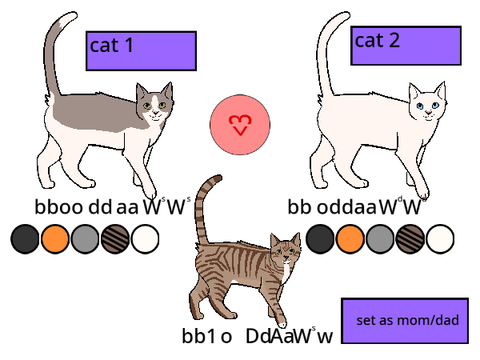 Genetically Accurate Cat Breeder!